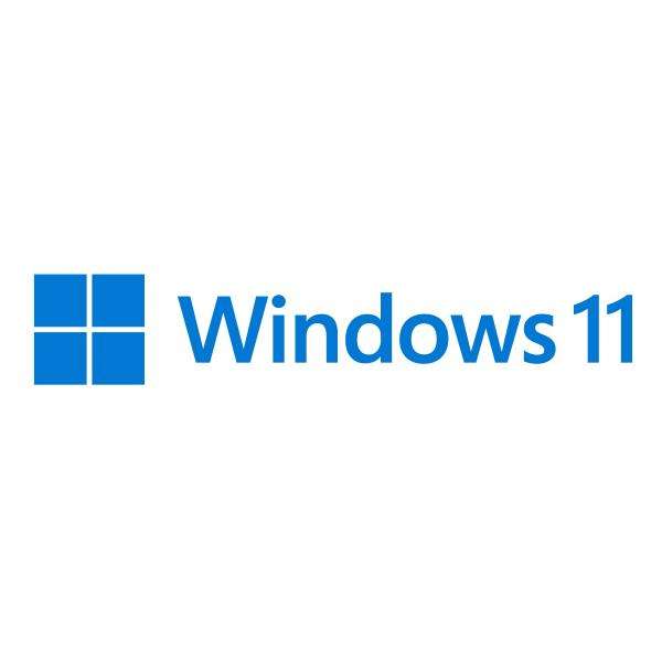 Microsoft Windows 11 Pro for Workstations 1 licenza/e - E_0015_ 11955313000