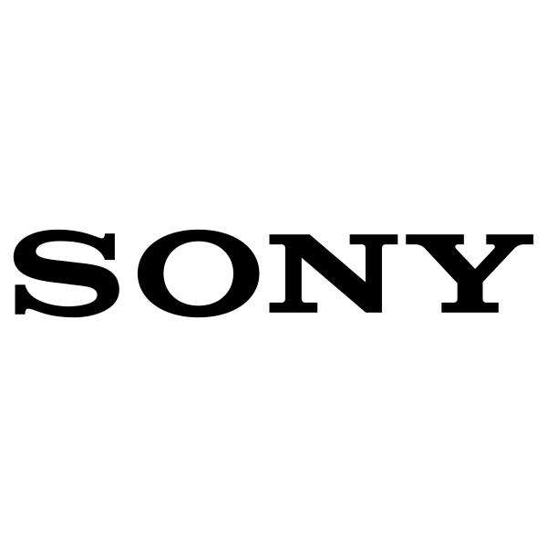 Sony PSP.FW98BZ53L.PO2 estensione della garanzia (plus 2Y PRO TOTAL 5 YEARS OR 30 000 HOURS) - E_0009_B50408603