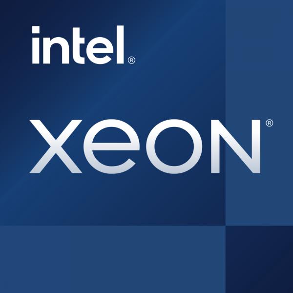 Intel Xeon E-2478 processore 2,8 GHz 24 MB Vassoio (Intel Xeon E-2478 CPU - 2.8 GHz Proces) - E_0009_B48687823